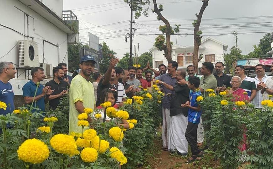 ജെസിഐ ചാലക്കുടി, വീക്കെന്റ് ടര്‍ഫ് കൂട്ടായ്മ എന്നിവയുടെ നേതൃത്വത്തില്‍ നടത്തിയ ചെണ്ടുമല്ലി പൂകൃഷിയുടെ വിളവെടുപ്പ് ഉദ്ഘാടനം മുനിസിപ്പല്‍ കൗണ്‍സിലര്‍ വി ജെ ജോജി നിര്‍വ്വഹിക്കുന്നു