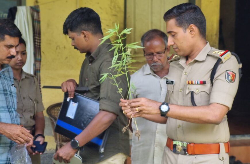 അതിഥി തൊഴിലാളികളുടെ താമസസ്ഥലത്ത് നിന്നും കഞ്ചാവ് ചെടികൾ കണ്ടെടുത്തു
