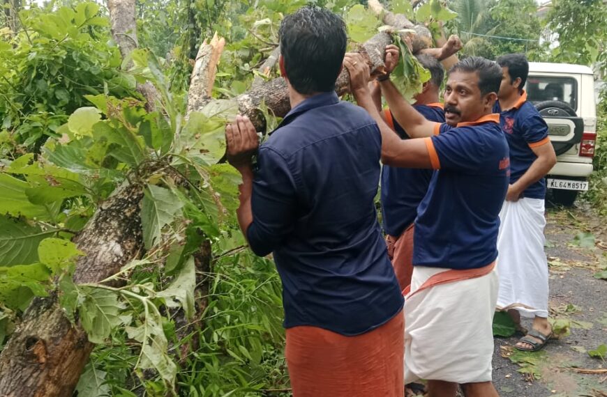 മേലൂർ പാലപ്പിള്ളി പുഷ്‌പഗിരി റോഡിൽ മരം മറിഞ്ഞു